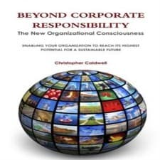 Image of Beyond Corporate Responsibility Christopher Caldwell Paperback Lu