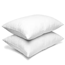 Image of Pack Of 2 Pillows