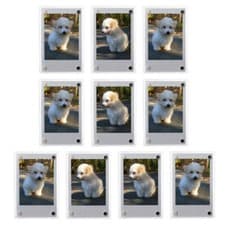 Image of 1-10 Pack Magnetic Fridge Photo Frames For Fujifilm Polaroid instax mini film