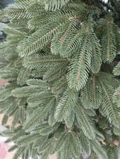 Image of Premium REALISTIC 6ft 7ft 7.5ft 5ft 8ft Christmas Tree Canadian Solid Cast SEE