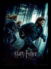Image of Harry Potter - Deathly Hallows Part 1 - Official 30 x 40cm Framed Print Wall Art