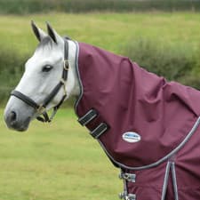 Image of Weatherbeeta Comfitec Plus Dynamic II Neck Rug Medium/Lite