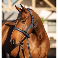Image of Horseware Amigo Headcollar and Leadrope Set - Navy