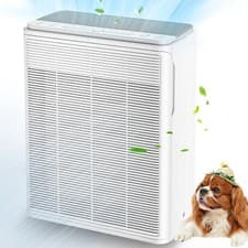 Image of AIUZLK P260 Air Purifier for Large Rooms Up to 2000 Sq Ft, H13 HEPA Filter, 22dB