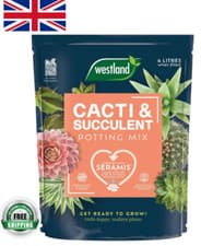 Image of Westland Cacti & Succulent Potting Mix 4L | Enriched with Seramis | UK Compost