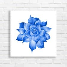 Image of Handpainted Watercolor Sukkulent Drawing Blue Canvas Print Large Picture Wall