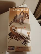 Image of EUGY 3D Animal Model Craft Kits - Grasshopper
