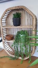 Image of Rectangular Bamboo Wall Shelf/display unit..BRAND NEW BOXED!