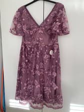 Image of Chi Chi London Size 16 Short Sleeved Midi Embroidered Dress - Dusky Pink - BNWT