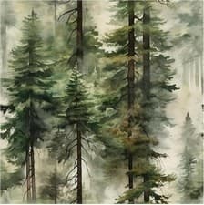Image of HAOKHOME Forest Wallpaper Self Adhesive Tree Wall Paper Wood Removable for Bedr
