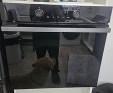 Image of Hisense BI64221PDBG Built In Single Electric Oven - Black