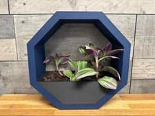Image of Wall Mounted Octagon Indoor  Planter