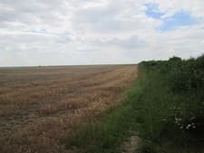 Image of Photo A3 Fallow field edge from The Ridgeway Ashbury/SU2685 c2014