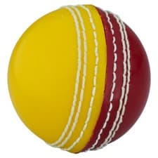 Image of Readers Supaball Cricket Ball