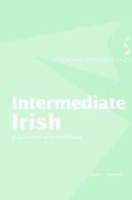 Image of Intermediate Irish: A Grammar and Workbook by Nancy Stenson - 9780415410427