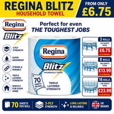 Image of Regina Blitz Household Towel 16 Rolls 3 Ply Strong Kitchen Roll 70 Sheets Each