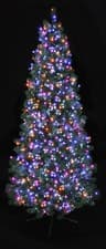 Image of LED Christmas String Lights - Perfect for Trees and Christmas Displays 