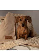 Image of Scruffs Snuggle Blanket-Desert Sand