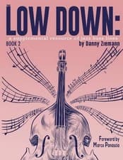 Image of Danny Ziemann The Low Down Book 2 (Paperback) Low Down