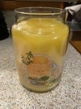 Image of Yankee Candle Scented Candle Lemon Gelato Single Wick 623g
