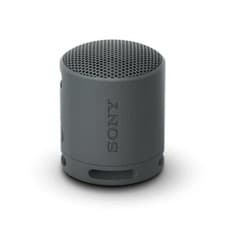 Image of Sony SRS-XB100 Portable Wireless Bluetooth Speaker, Black