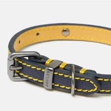 Image of Joules Dog Collar & Leads | All Styles & Sizes Navy Fuschia | RRP £20-£40