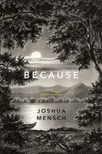 Image of Because A Lyric Memoir by Joshua Mensch HARDBACK 9780393635225