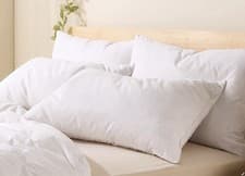 Image of Snuggledown Natural Duck Feather and Down Standard Pillow - Medium Support | New