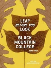 Image of Leap Before You Look by Helen Molesworth, Ruth Erickson - 9780300211917