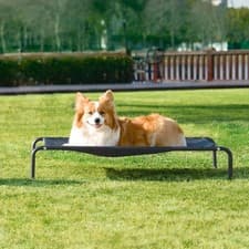 Image of Pet Raised Dog Bed Elevated With Metal Frame & mesh Outdoor Breathable Hammock