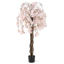 Image of COSTWAY 163CM Tall Artificial Cherry Blossom Tree 1 Pack-White