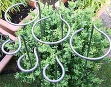 Image of Plant Supports | Naturally Rusting Loop-Style | Made in the UK | Solid 6mm Metal