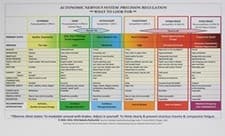 Image of Autonomic Nervous System Table: Laminated Card by Babette, MSW, LCSW Rothschild