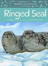 Image of Animals Illustrated: Ringed Seal (Animals Illustrated) - Hardback NEW Flaherty,
