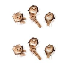 Image of  3D Wall Decals Stickers Vivid Decors Murals for Room Home Removable Wall Art