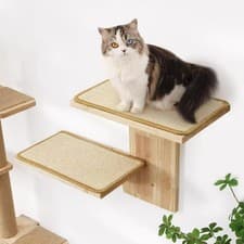 Image of Cat Wall Shelves Cat Tree Wall Mounted Floating Shelf for Kitten Nap Climb