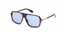 Image of Adidas Originals OR0100 Dark havana 0/0/145 UNISEX Sunglasses