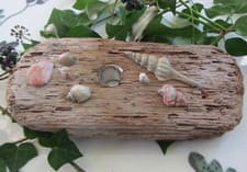 Image of Driftwood Candle Holder