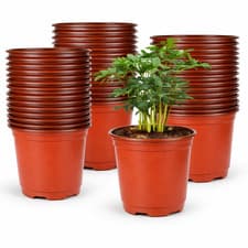 Image of Red Plastic Plant Pots 9cm Nursery Flower Pots Seedlings Round Plant Pot 2 4 6 P