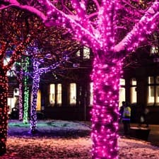 Image of ConnectGo® 5m-50m Connectable LED Christmas Outdoor Fairy Extendable Lights