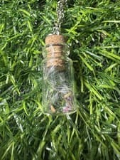 Image of Make A Wish. Dandelion Glass Jar Necklace Pendant.