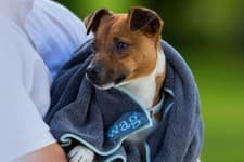 Image of Henry Wag microfibre Pet Towel, SMALL 100 × 70cm, Cleaning, Drying, Dog