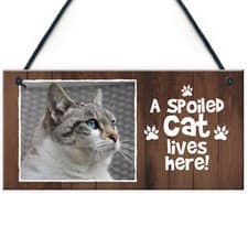 Image of Funny Cat Sign Personalised Cat Signs SPOILED CAT LIVES HERE Hanging Wall Sign