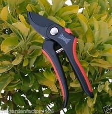Image of Wilkinson Sword Bypass Pruner Secateurs 20mm Cut Steel Blades Pruners Pruning