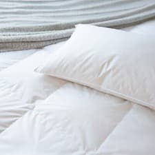 Image of TLC Bed Pillows Collection – 15 Styles, Soft, Medium, Firm