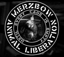 Image of Merzbow Animal Liberation - Until Every Cage Is Empty Music CDs New