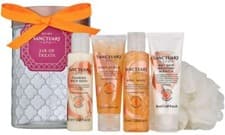 Image of Sanctuary Spa Jar of Treats,Body Wash,MoistureMiracle,Bubble Bath Scrub,Scrunch