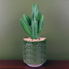 Image of Realistic Artificial Cactus with Green Ceramic Planter - Size 23cm