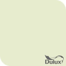 Image of Dulux Easycare Washable Matt paint 250 colours to choose (tinted to order) 2.5L