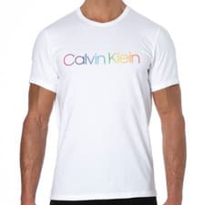 Image of Calvin Klein Linear Logo T-Shirt White XLarge